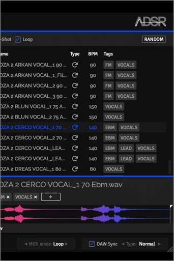 ADSR Sample Manager