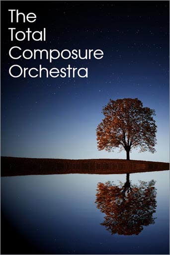 The Total Composure Orchestra